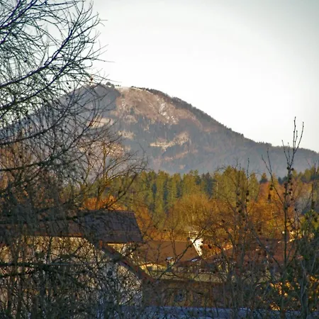Apartment Bad Reichenhall Exterior photo