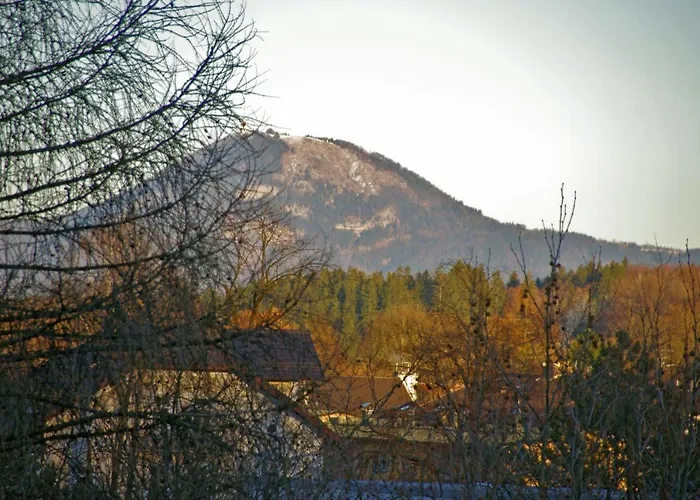 Apartment Bad Reichenhall