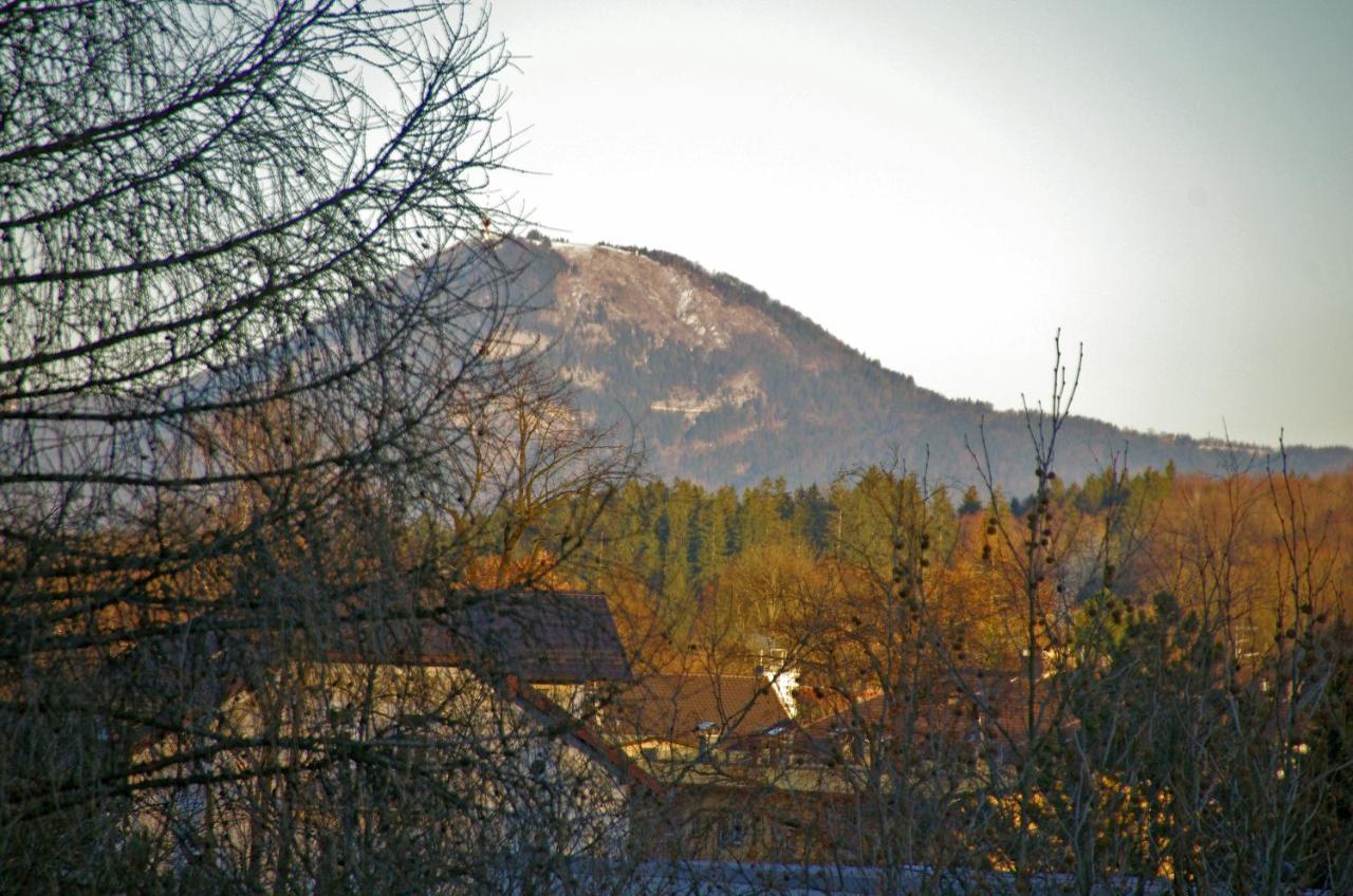 Apartment Bad Reichenhall Bad Reichenhall